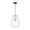Z-Lite Bella 1 Light Pendant, Matte Black & Clear 476P-MB-BN - alternate 1